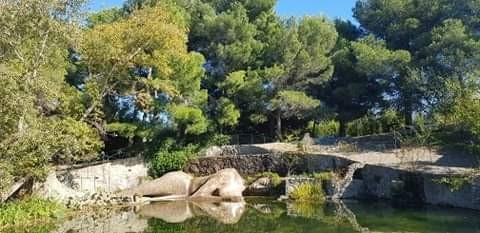 Jardin de saint adrien blog nfg conciergerie